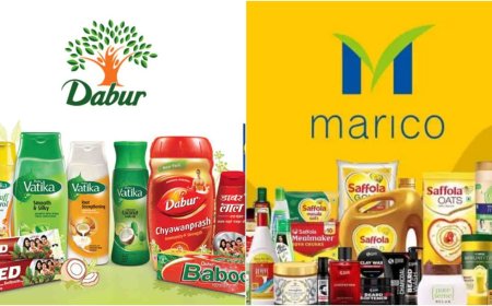 ग्रामीण बाजारों में FMCG कंपनियों को मिल रही शानदार ग्रोथ, तेजी से बढ़ रहा ई-कॉमर्स और क्विक कॉमर्स