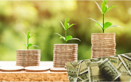 Financial Tips : आपको भी बनना है अमीर तो ये 7 फॉर्मूले आएंगे बड़े काम, बड़ा पैसा बनाने में मिलेगी मदद